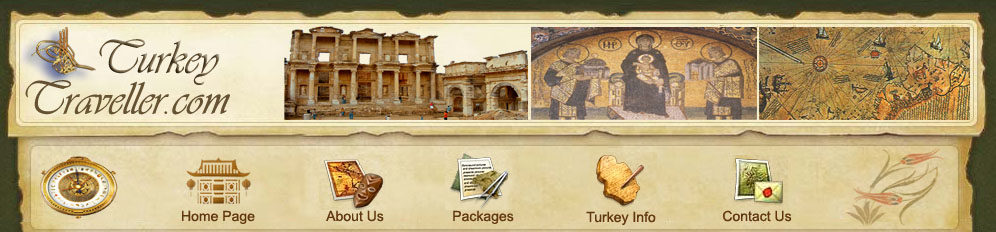 Turkey Traveller